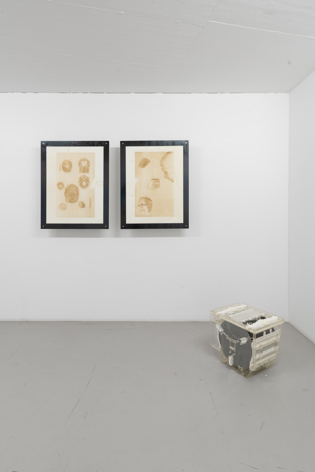 Justin Urbach, FreezeFrame II, 2024