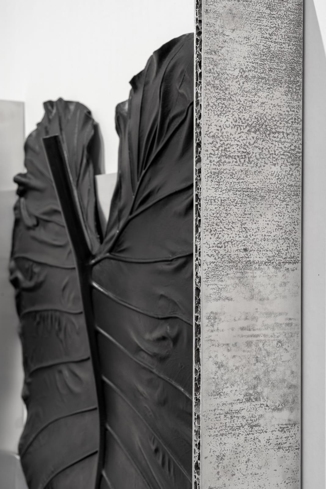 Lukas Heerich, Untitled, 2024