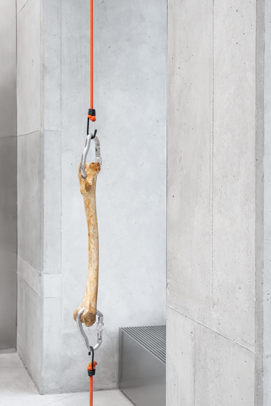 Nicolás Lamas, Tendon, 2022