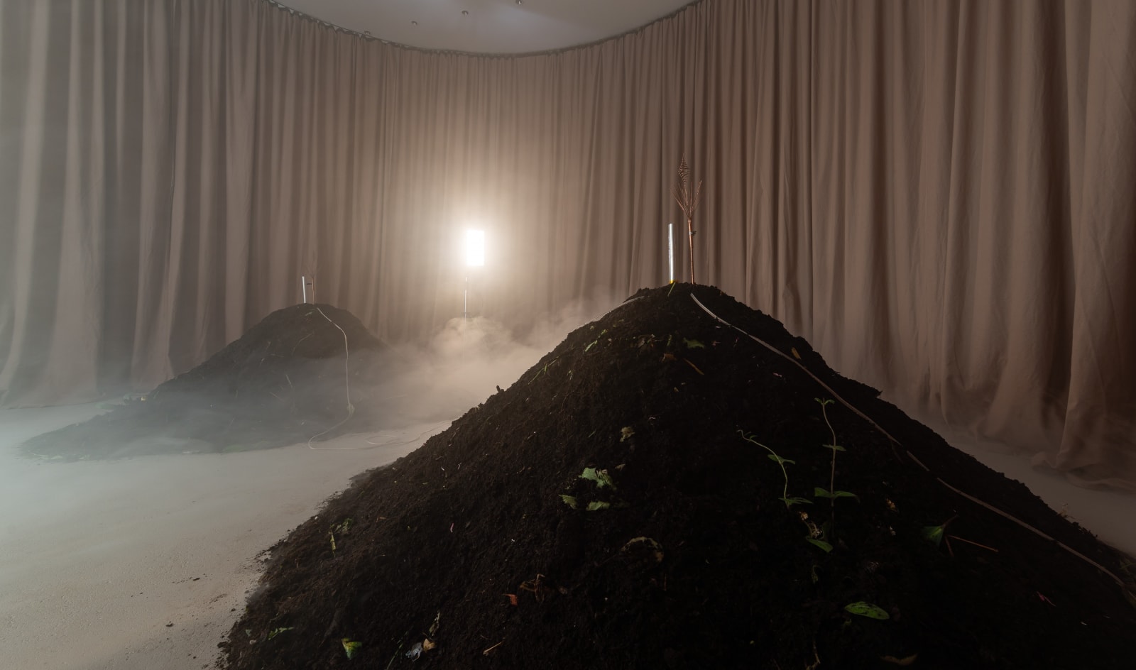 Jenna Sutela, Vermi Cell, 2023