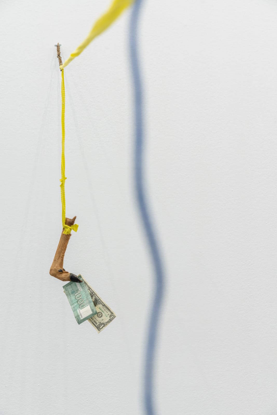 Gabriel Rico, Polimerycene from the series -Freedom of manoeuvre-, 2020