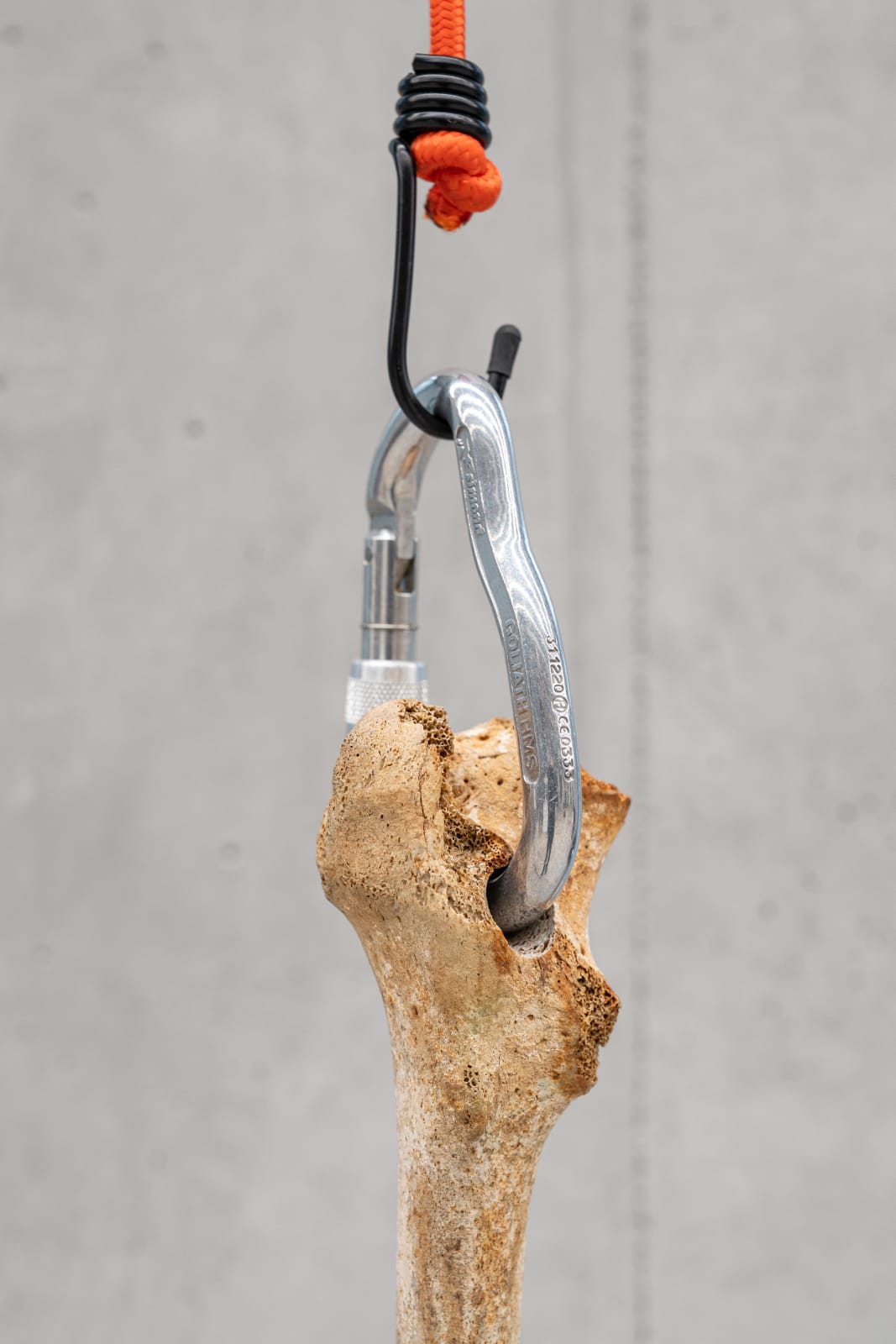 Nicolás Lamas, Tendon, 2022