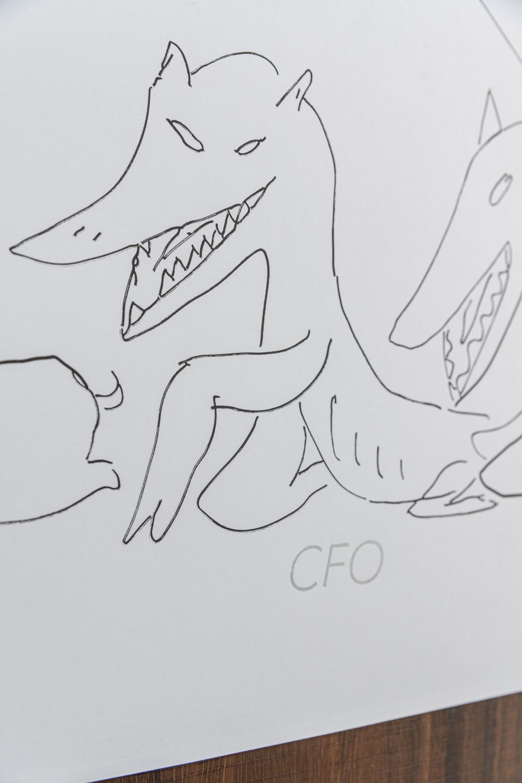 Niko Abramidis &NE, CTO CFO COO, 2020