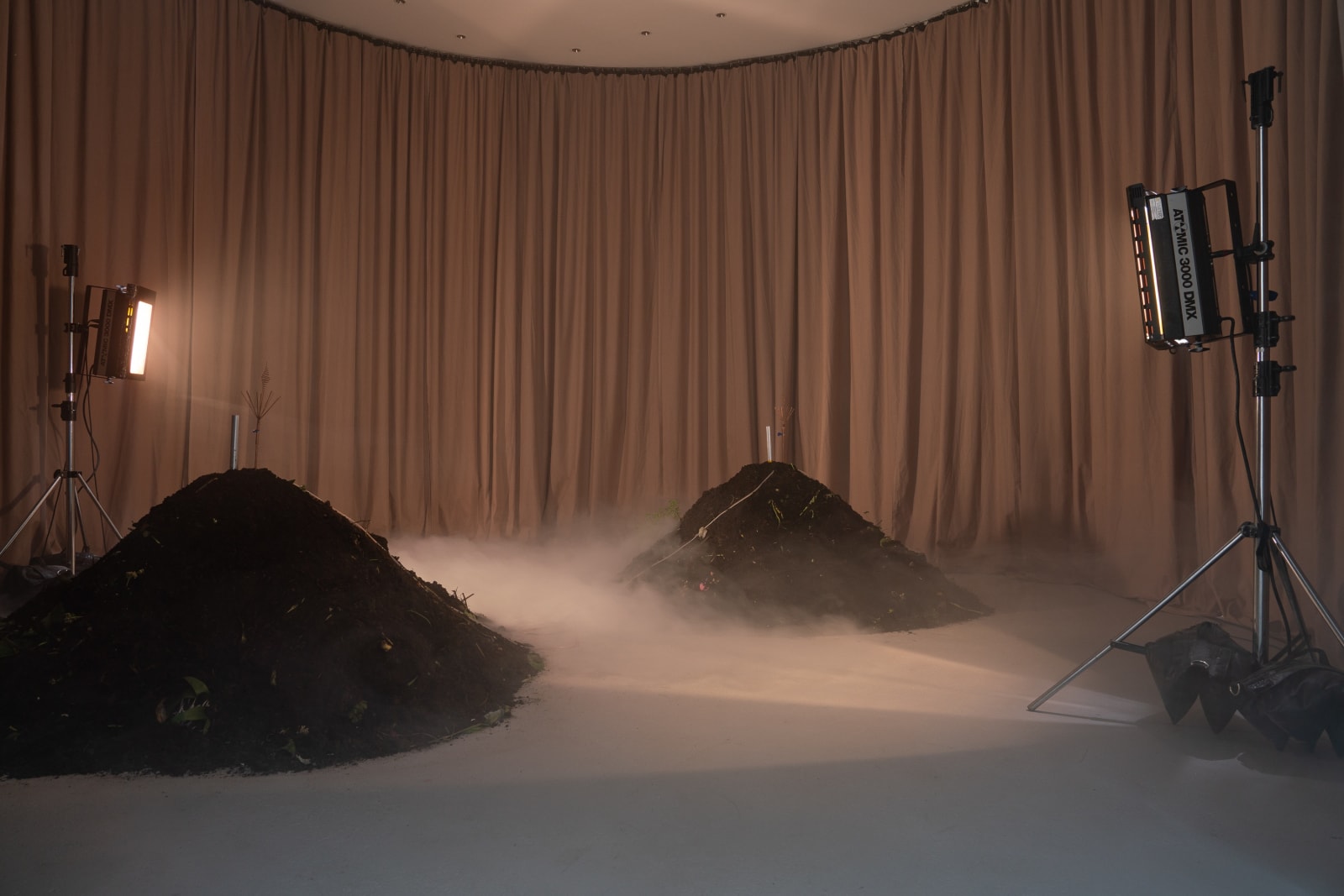 Jenna Sutela, Vermi Cell, 2023