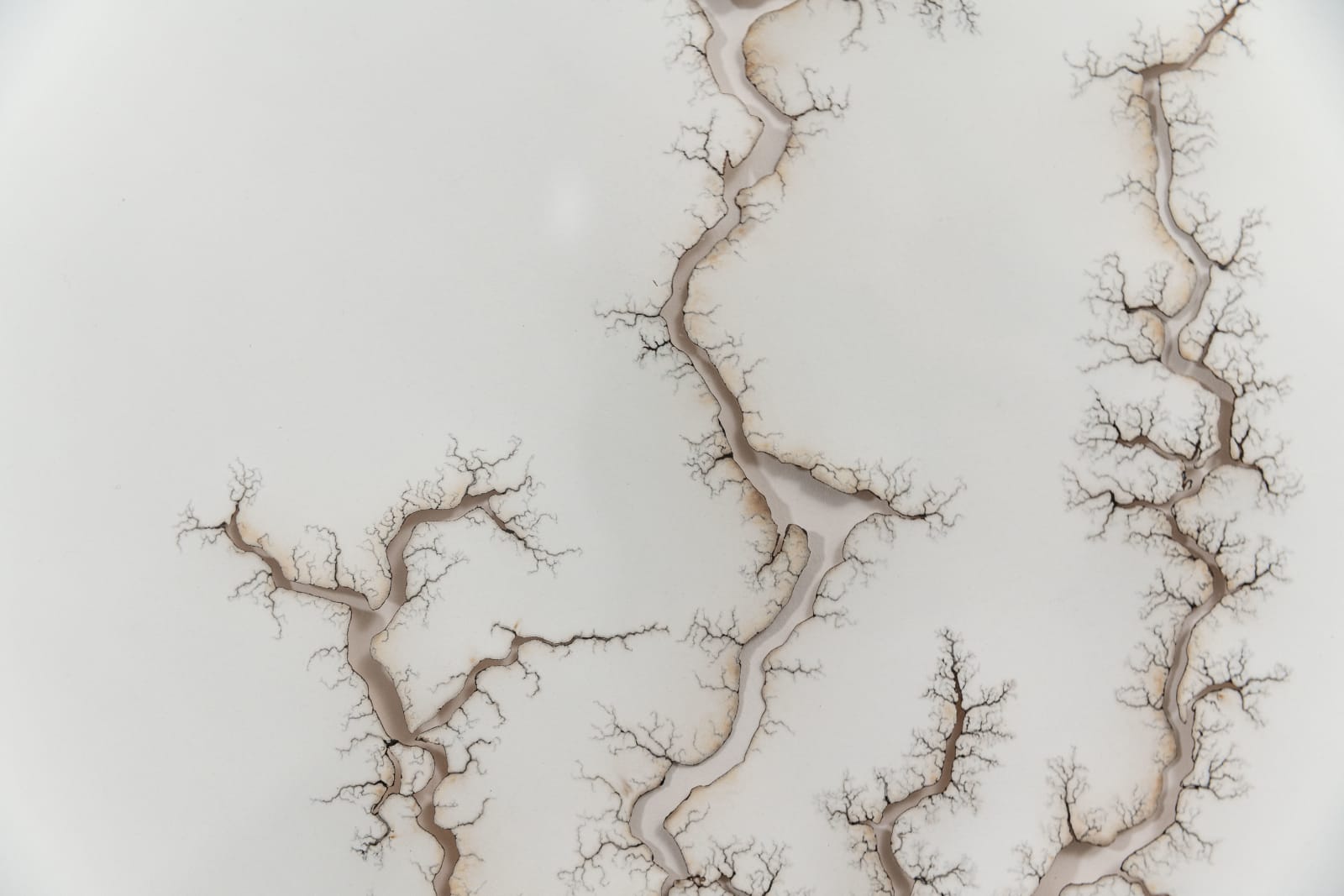 Troika, Path of Least Resistance, 2014