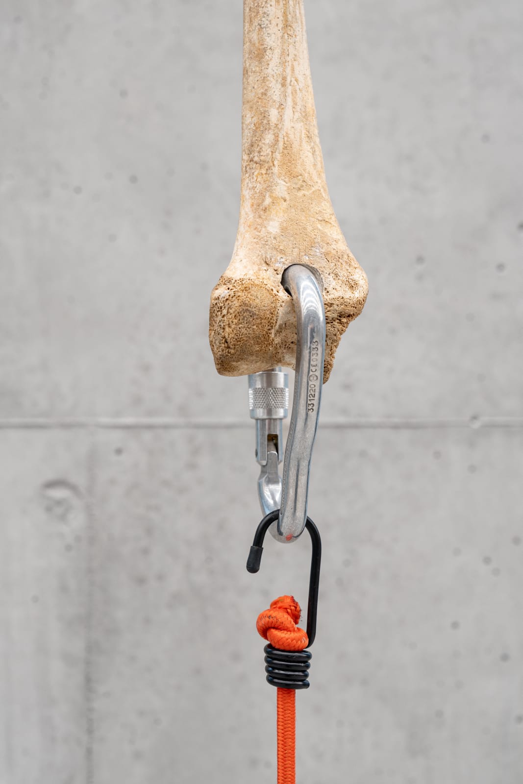 Nicolás Lamas, Tendon, 2022