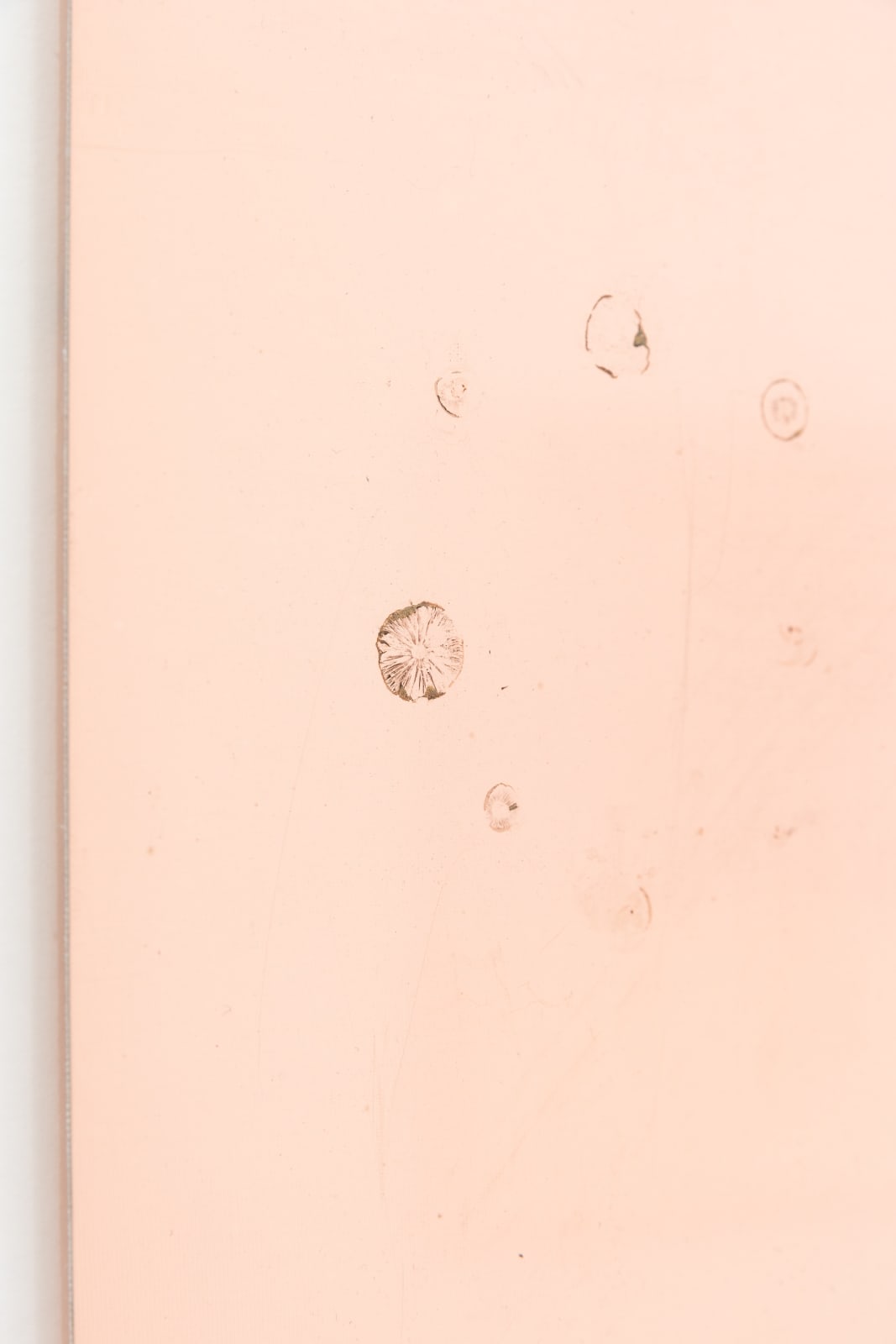 Haroon Mirza, Circle of Liberty, 2017