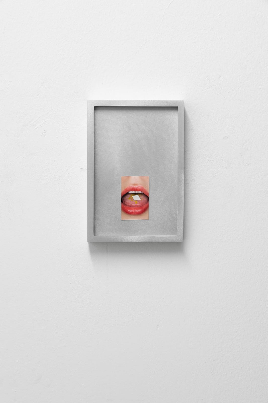 Jenna Sutela, Many-Headed Reading, 2022