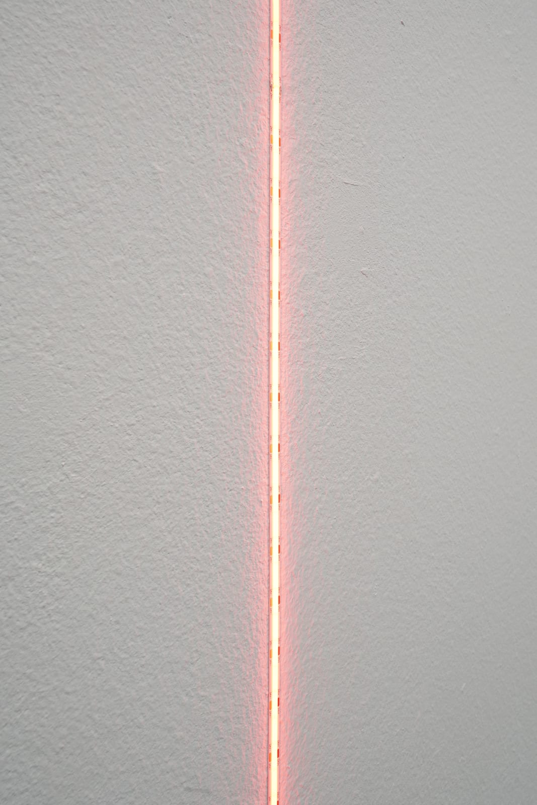 Haroon Mirza, Light Work xliii, 2022
