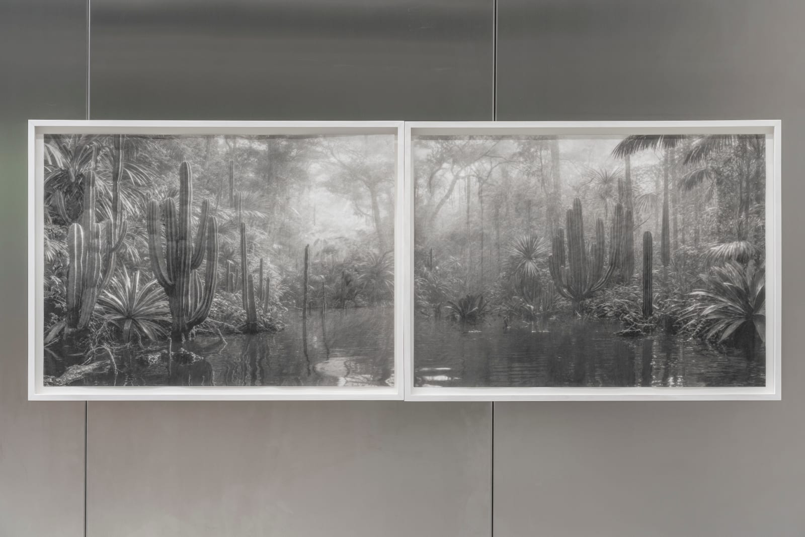 Troika, Out of Place, Out of Time (Lostmans River), 2025