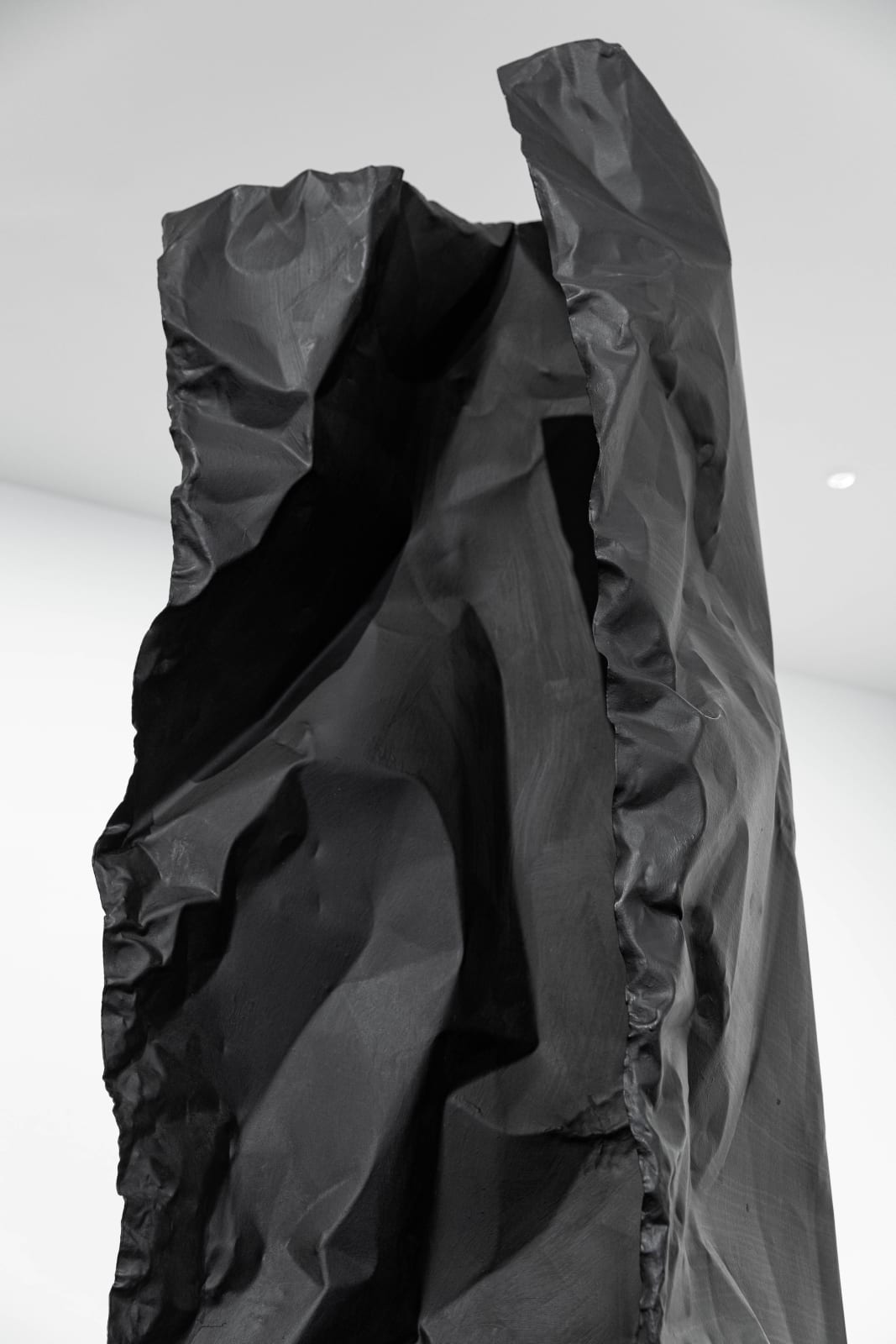 Rosemarie Castoro, Black Flasher B, 1979