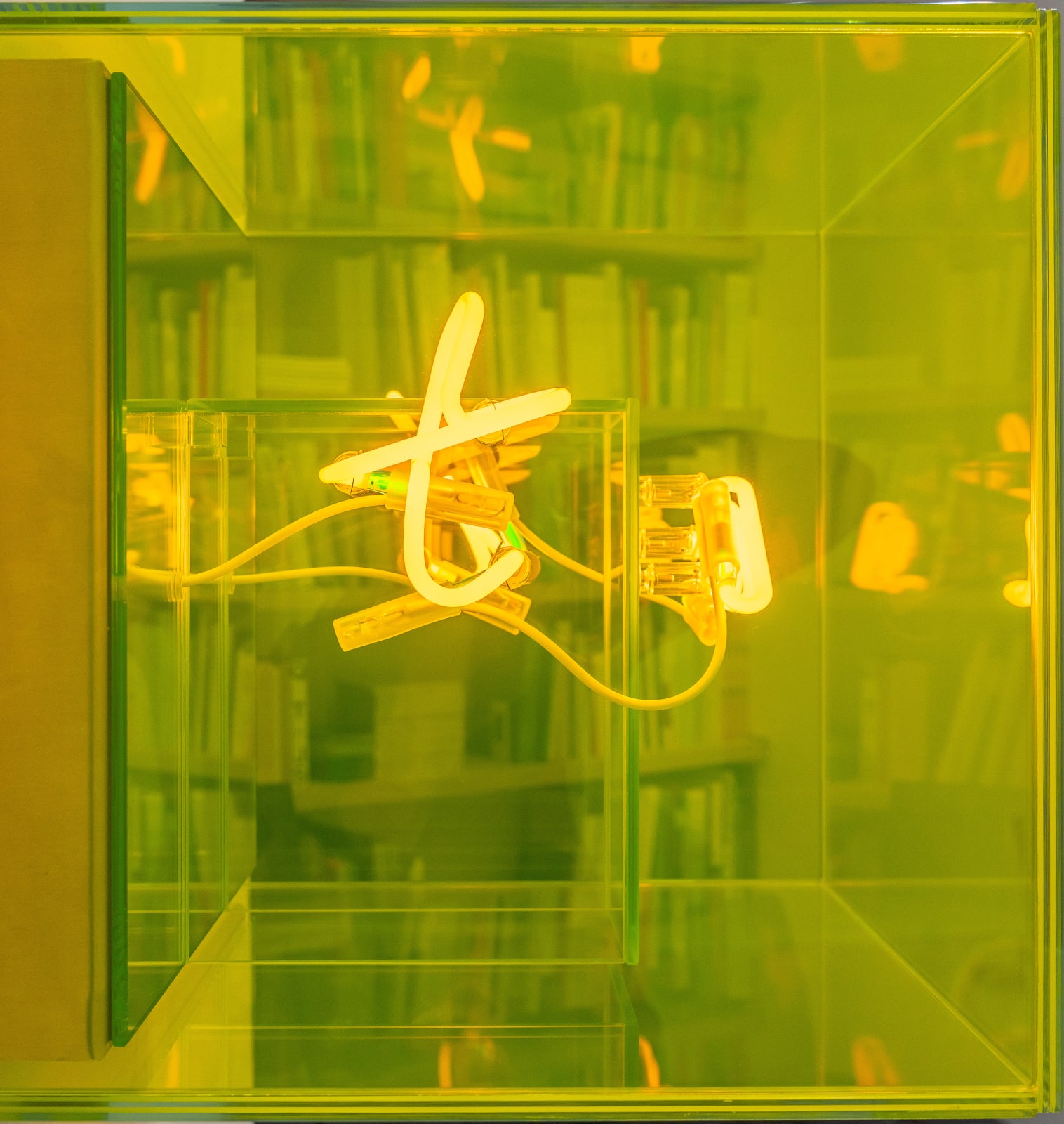 Brigitte Kowanz, tmi, 2021