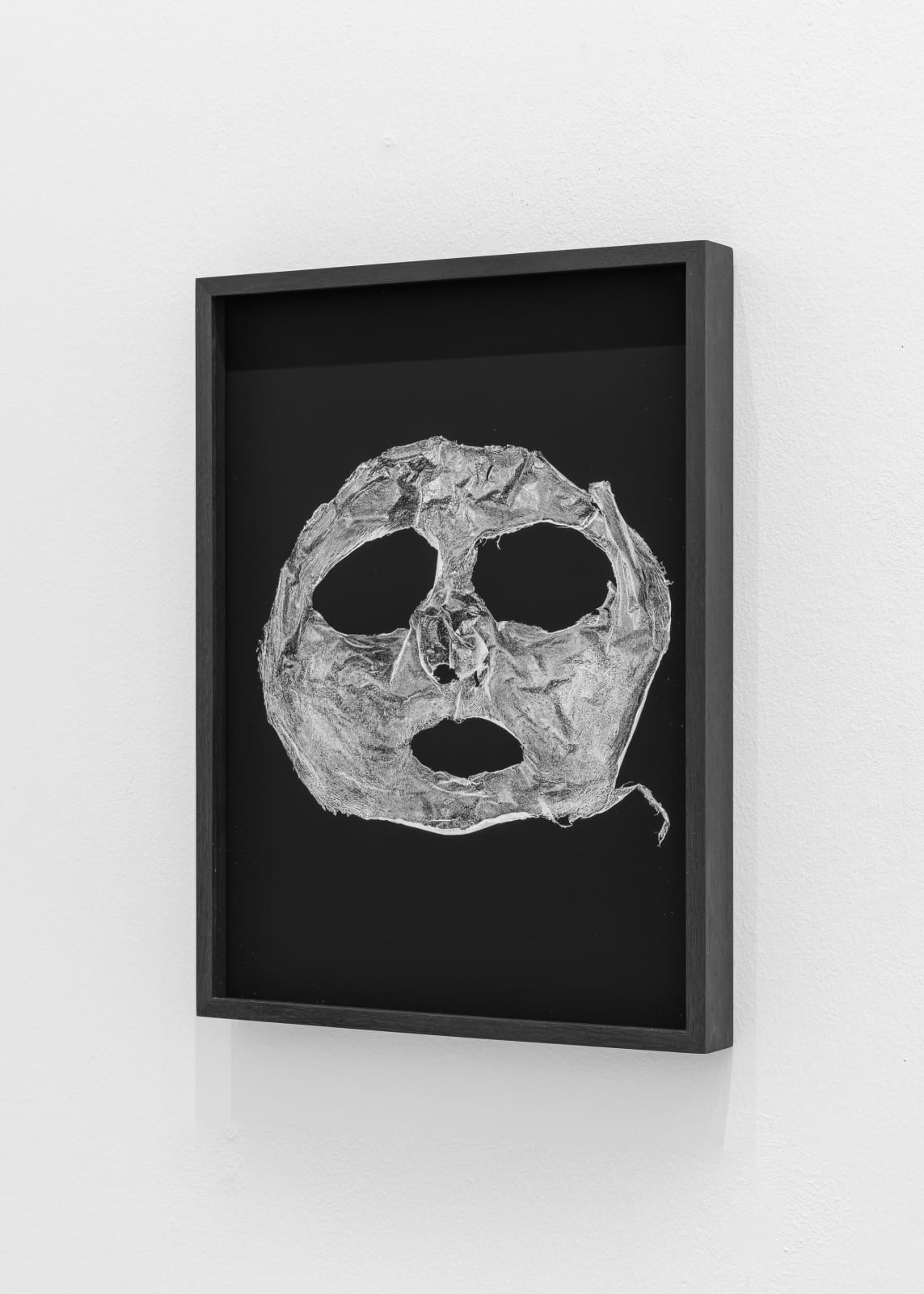 Lukas Heerich, Untitled (Peel), 2023