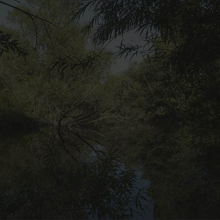 Johnny Jensen, Locus #17, 2025