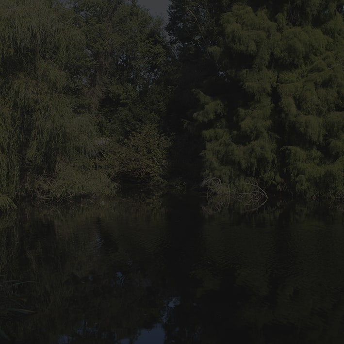 Johnny Jensen, Locus #5, 2025