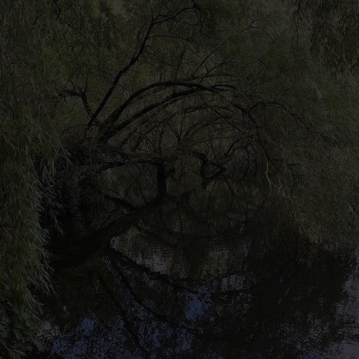 Johnny Jensen, Locus #16, 2025