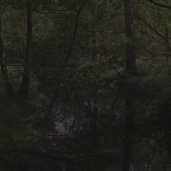 Johnny Jensen, Locus #2, 2025