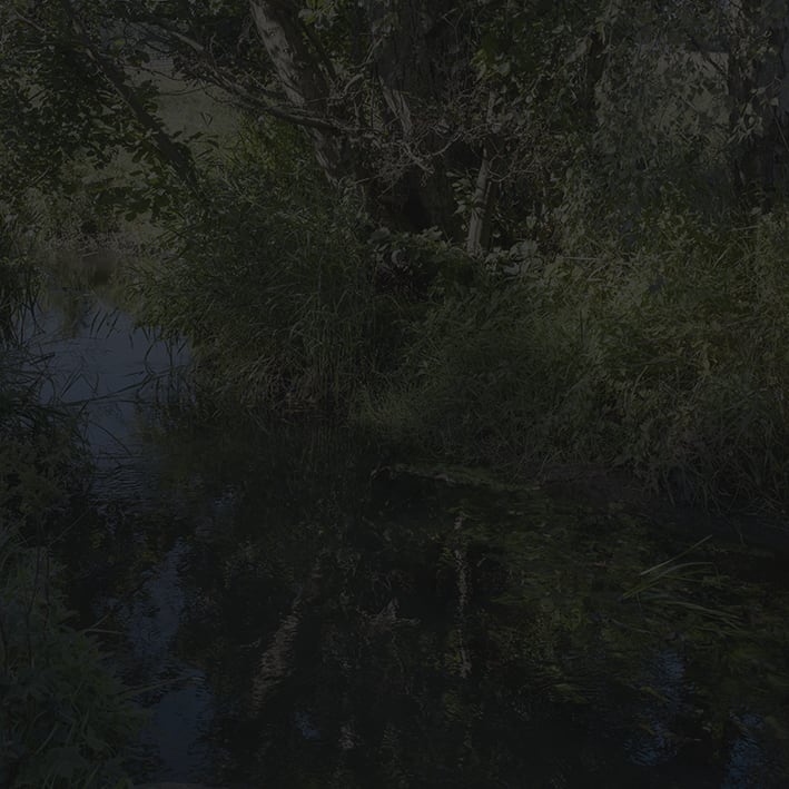 Johnny Jensen, Locus #14, 2025