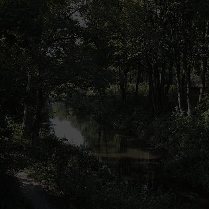 Johnny Jensen, Locus #7, 2025