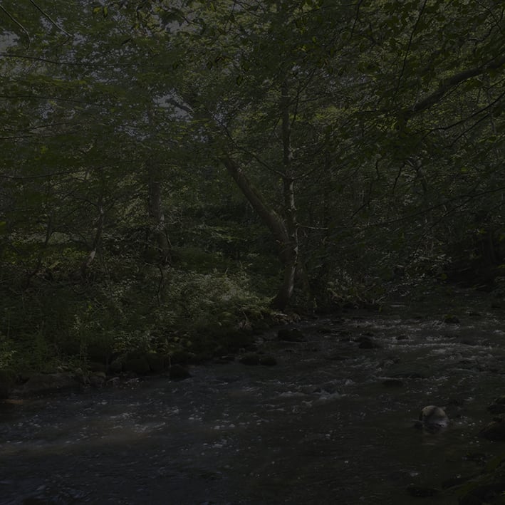 Johnny Jensen, Locus #15, 2025