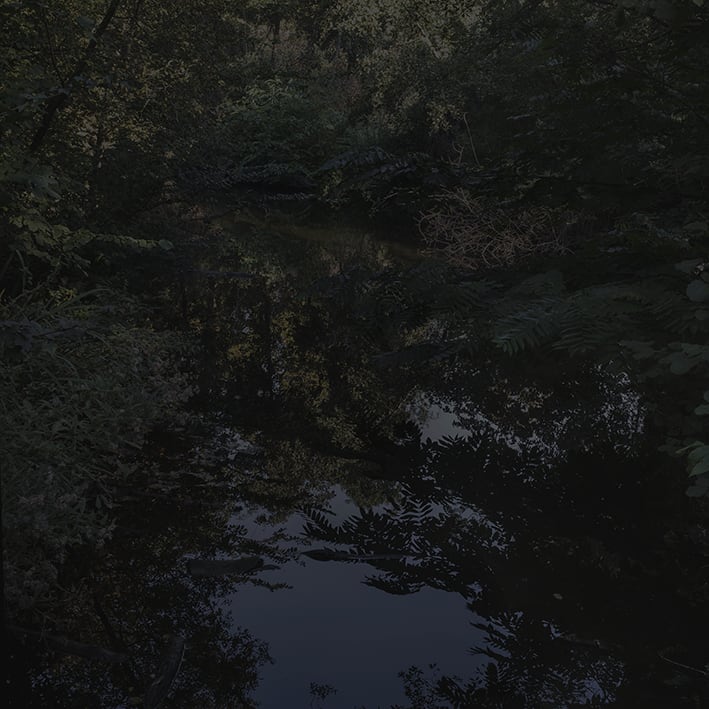 Johnny Jensen, Locus #18, 2025