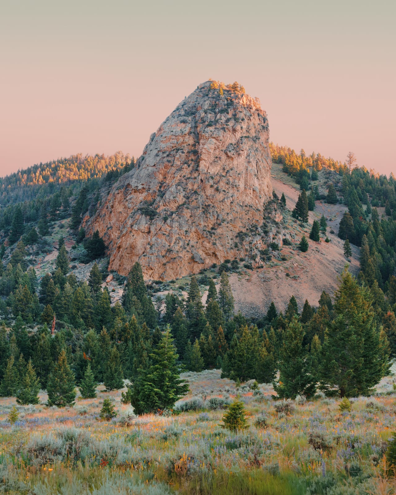 Christopher Rodriguez, Montana I, 2025