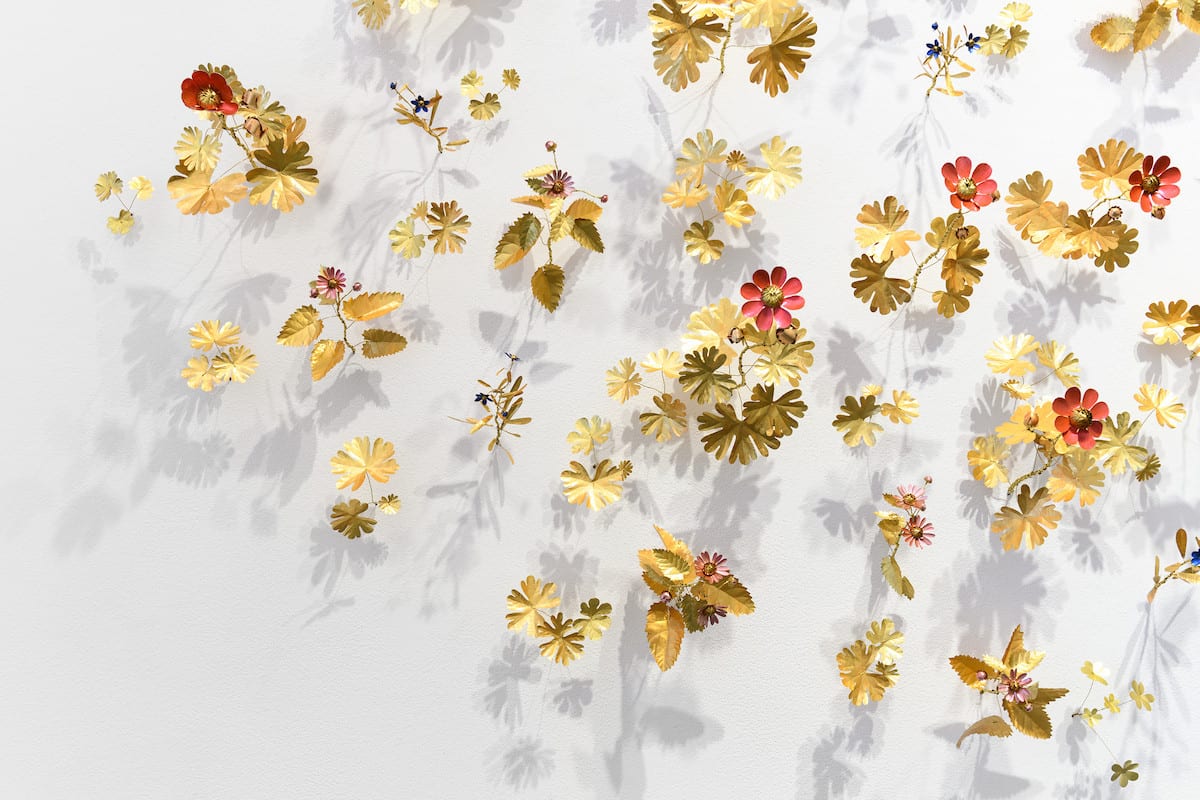 Kirk Maxson, Wildflowers