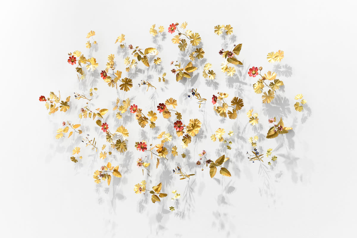 Kirk Maxson, Wildflowers