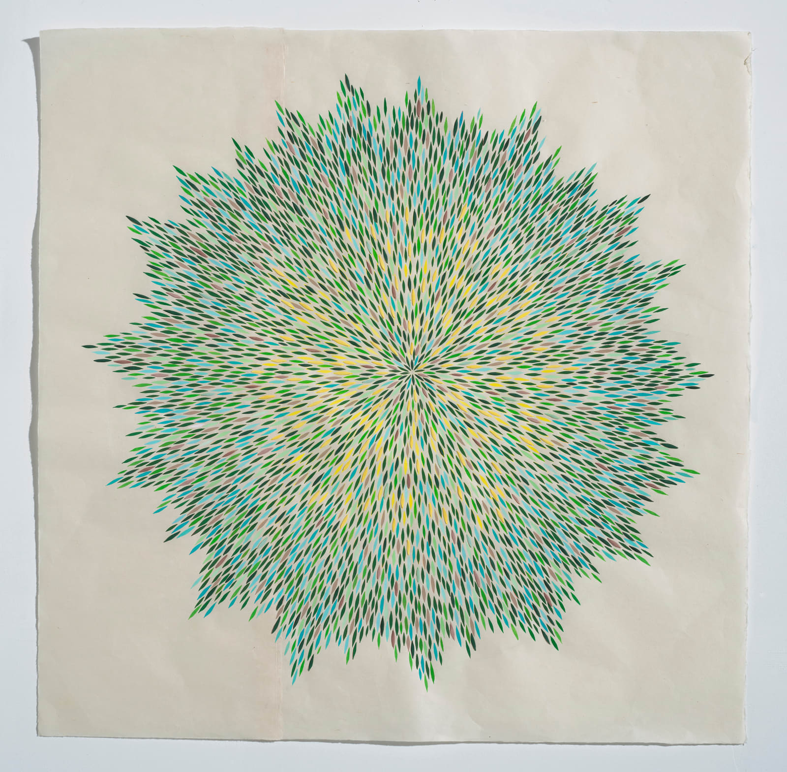 Dharma Strasser Maccoll, Aurora