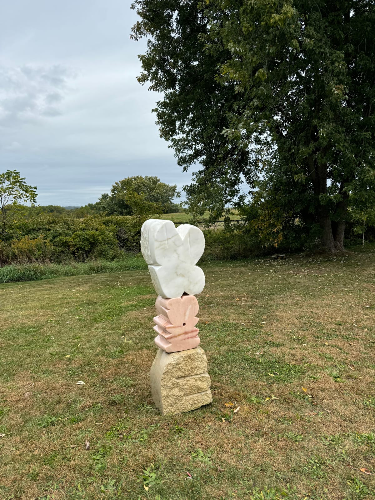 Nadia Yaron, Venus Flower