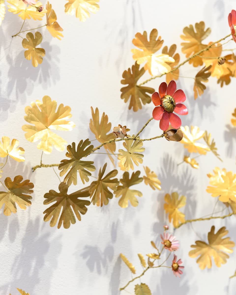 Kirk Maxson, Wildflowers