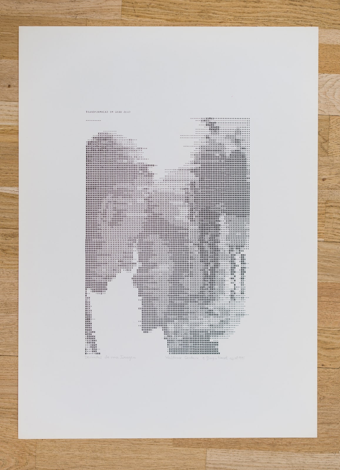 Waldemar Cordeiro, Derivatives of an Image: Transformation in Degree 0, 1969