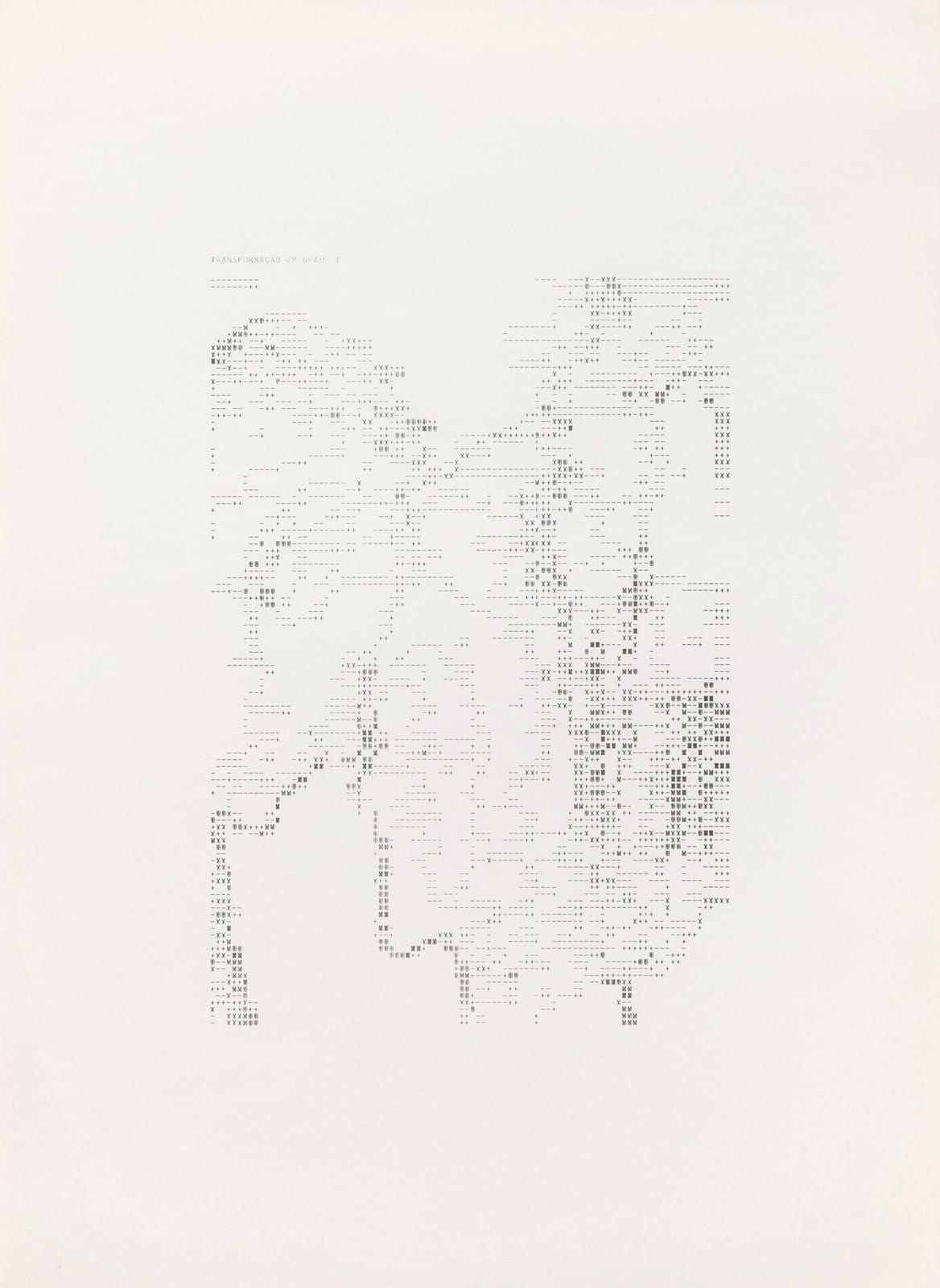 Waldemar Cordeiro, Derivatives of an Image: Transformation in Degree 1, 1969