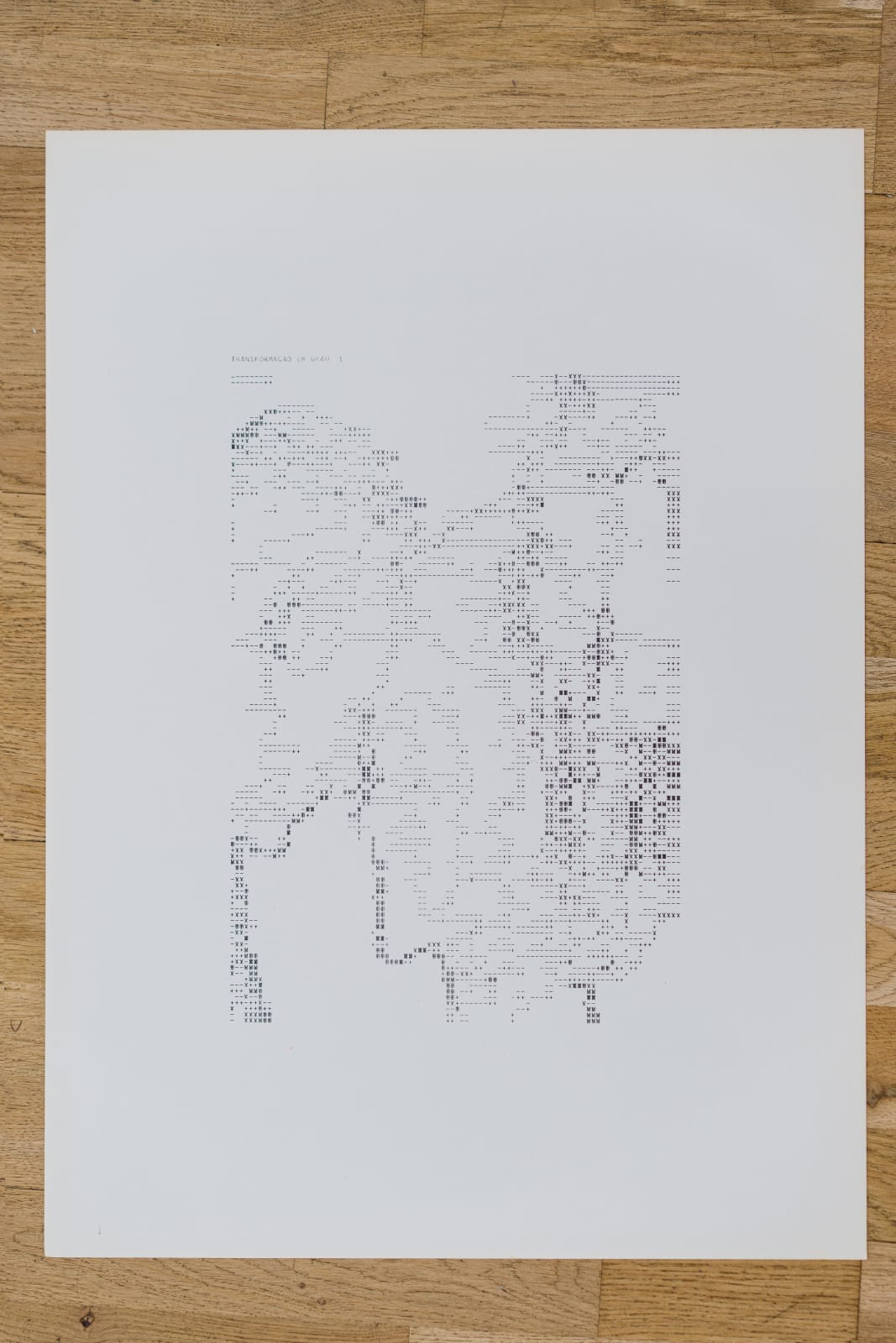 Waldemar Cordeiro, Derivatives of an Image: Transformation in Degree 1, 1969