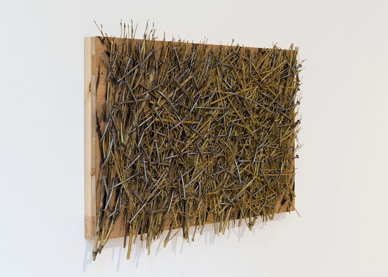 GUNTHER UECKER, Dickicht , 2007