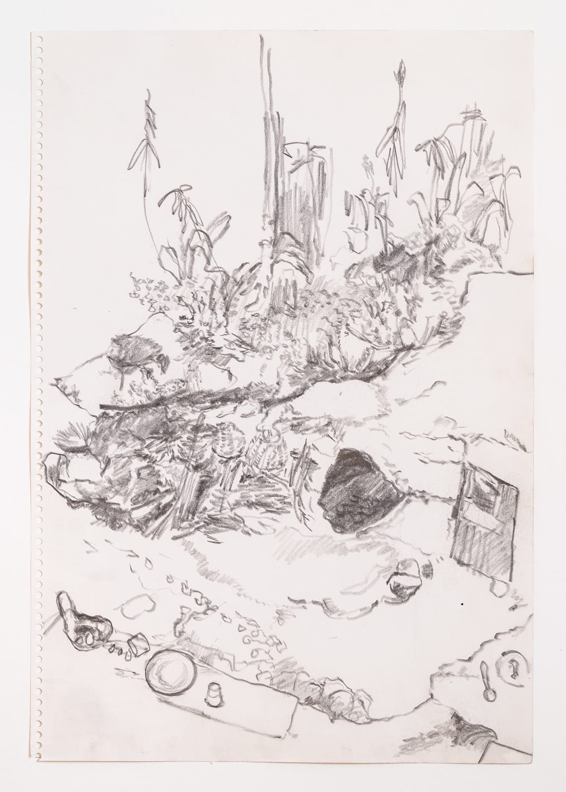 PAUL THEK, Untitled (Garden), October 1970