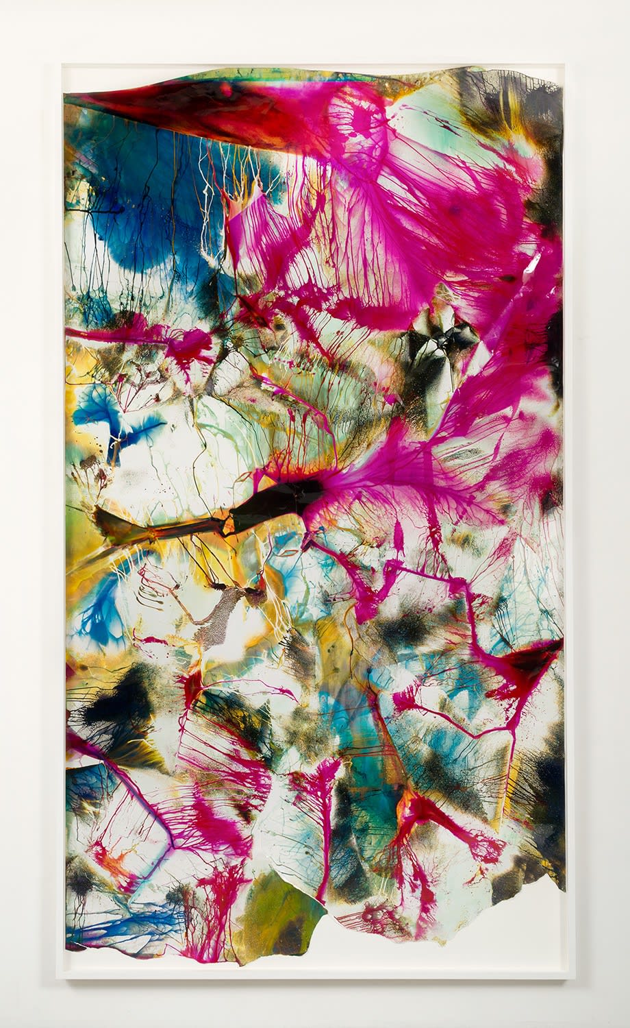 Mariah Robertson, 268, 2014