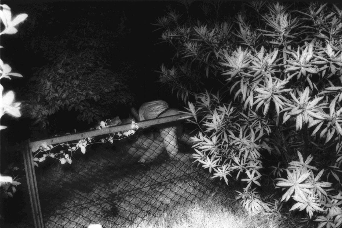 Kohei Yoshiyuki, Untitled, Plate 2, 1971