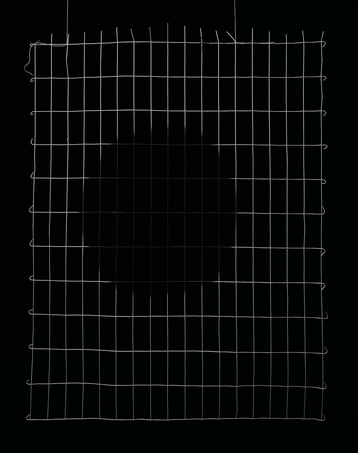 Anthony Lepore, Blind Spot, 2013