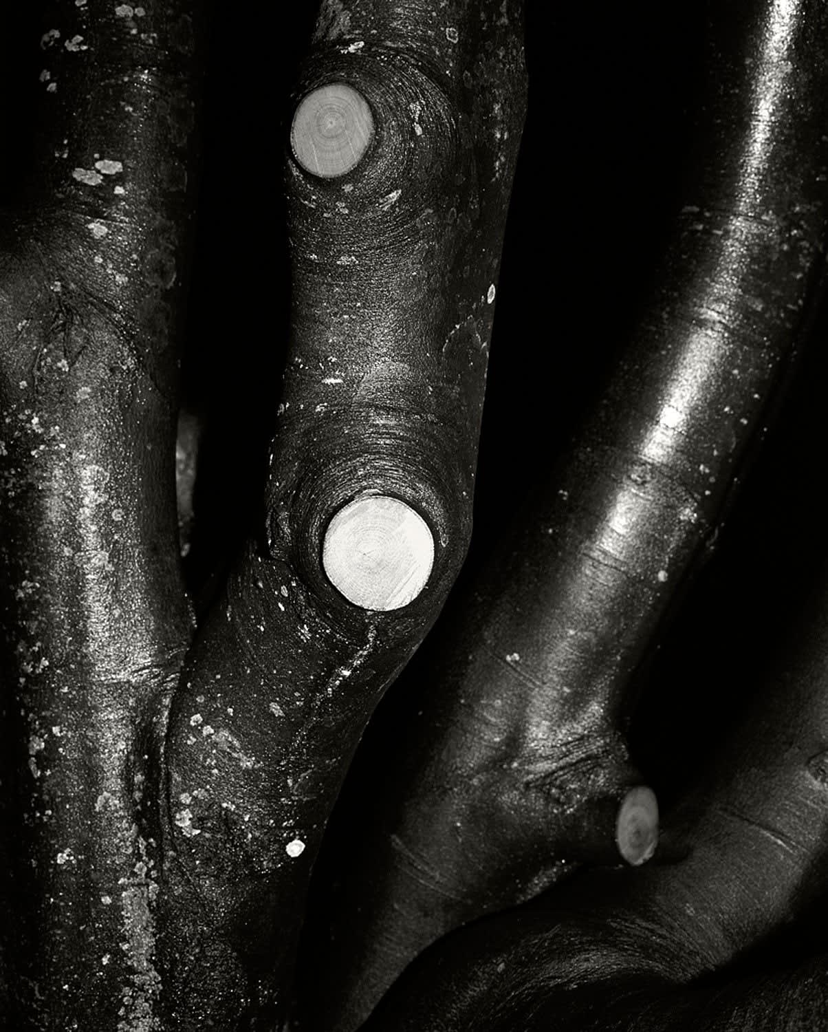 Santiago Mostyn, Church Trunk, 2010