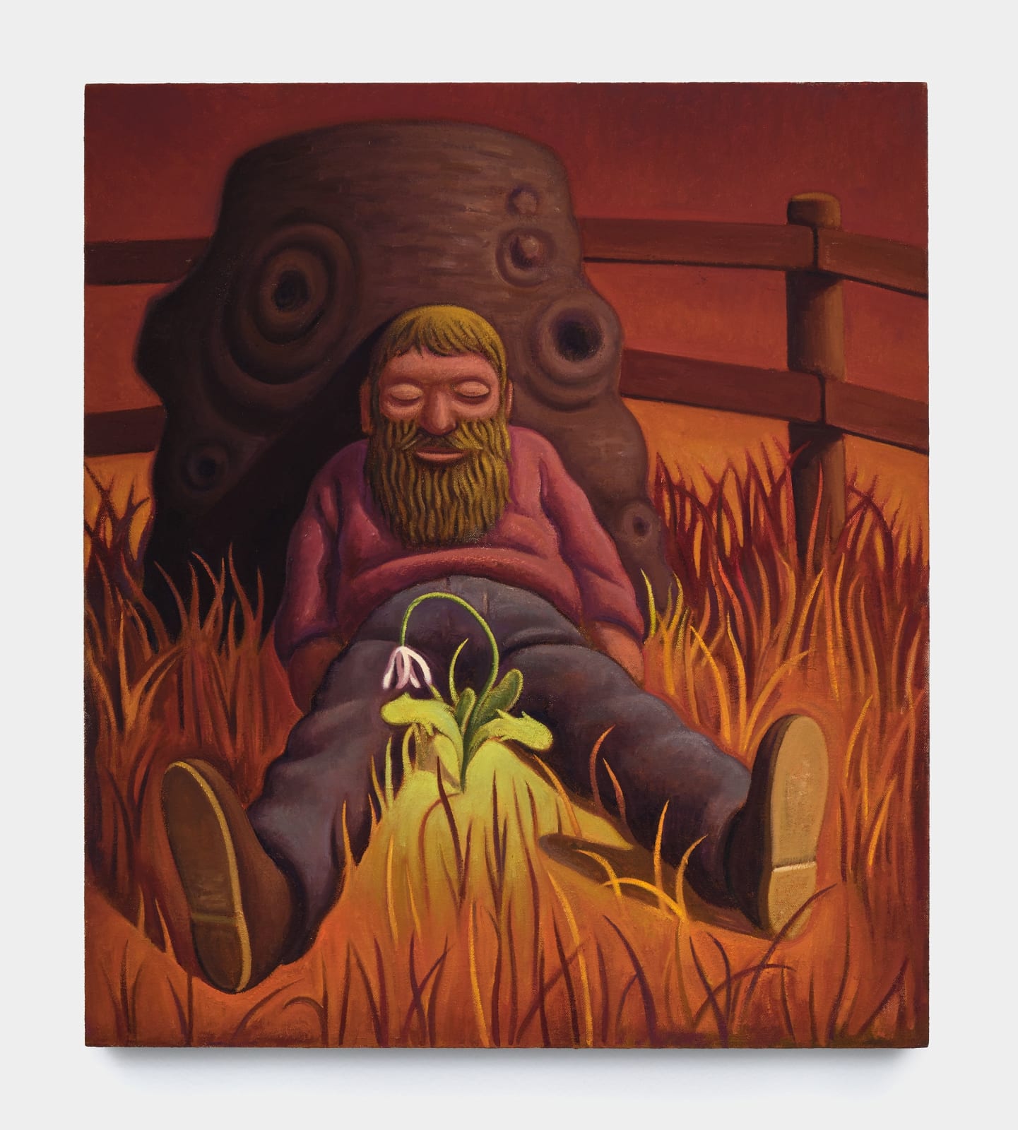 Nat Meade, Seedling, 2024