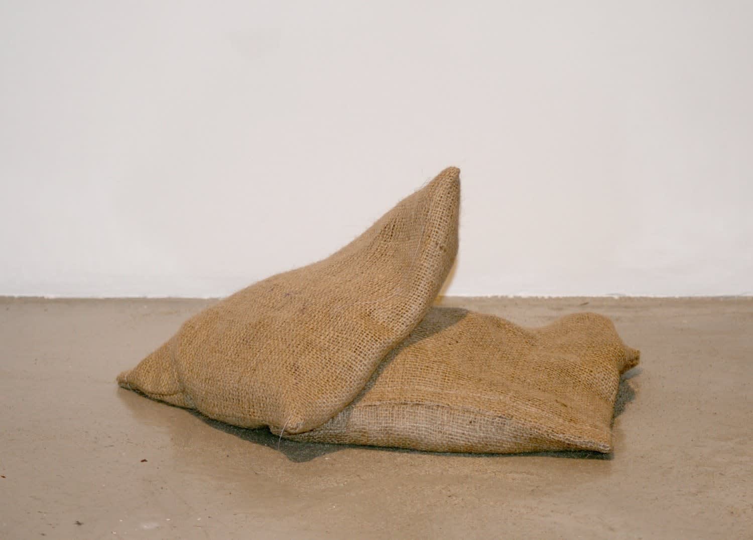 Jacob Kassay, Untitled, 2011