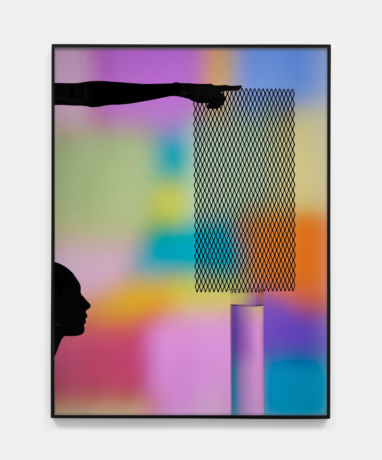 Hannah Whitaker, Party Gels, 2025