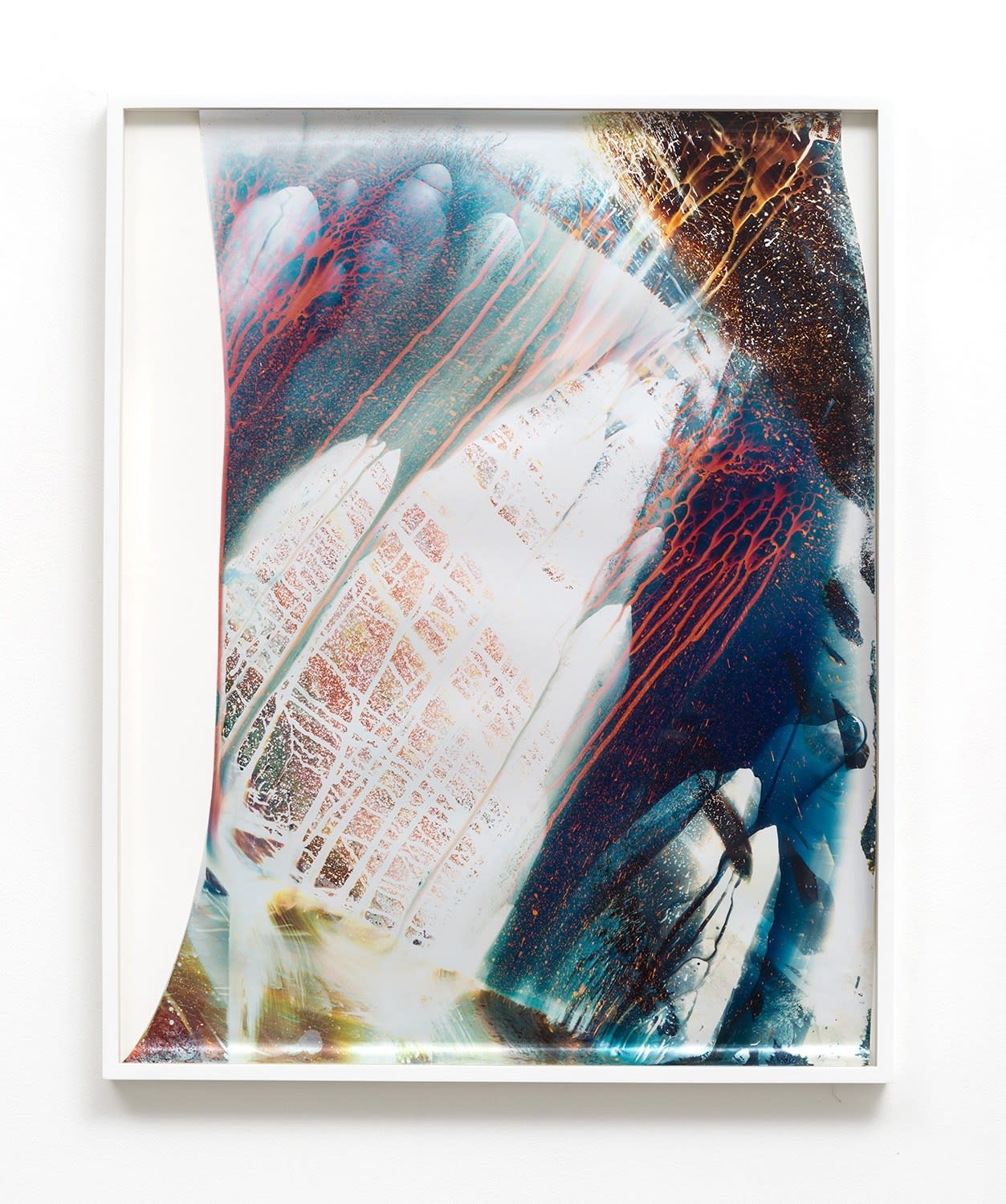 Mariah Robertson, 342, 2015