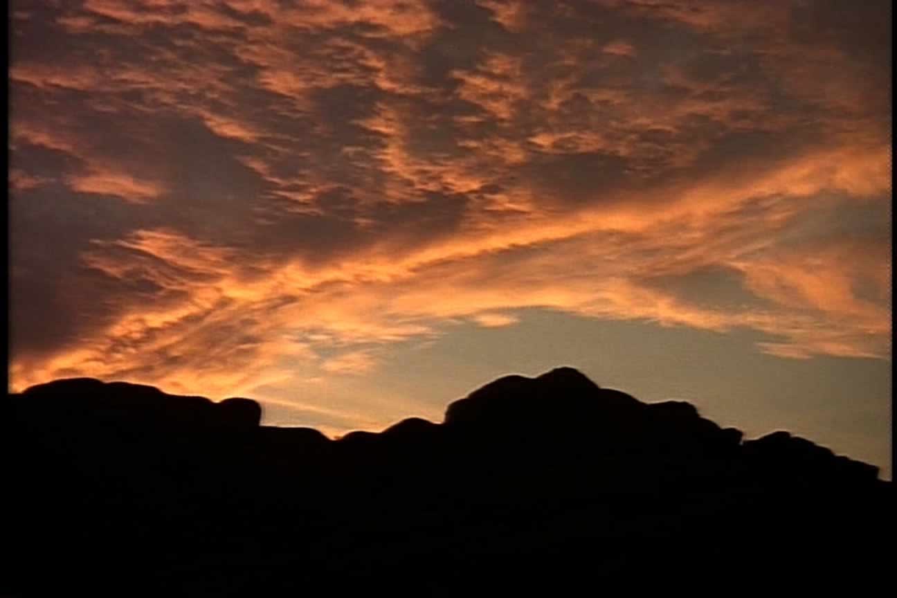 Mores McWreath, Leave it to Us, 2010