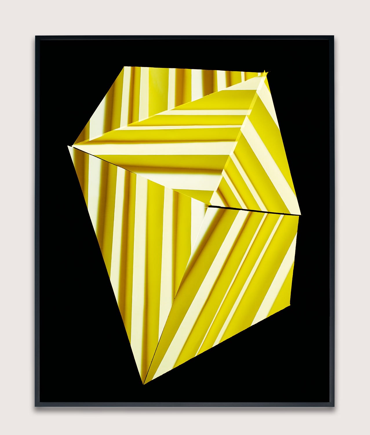 Hannah Whitaker, Fan Screen (Positive), 2015