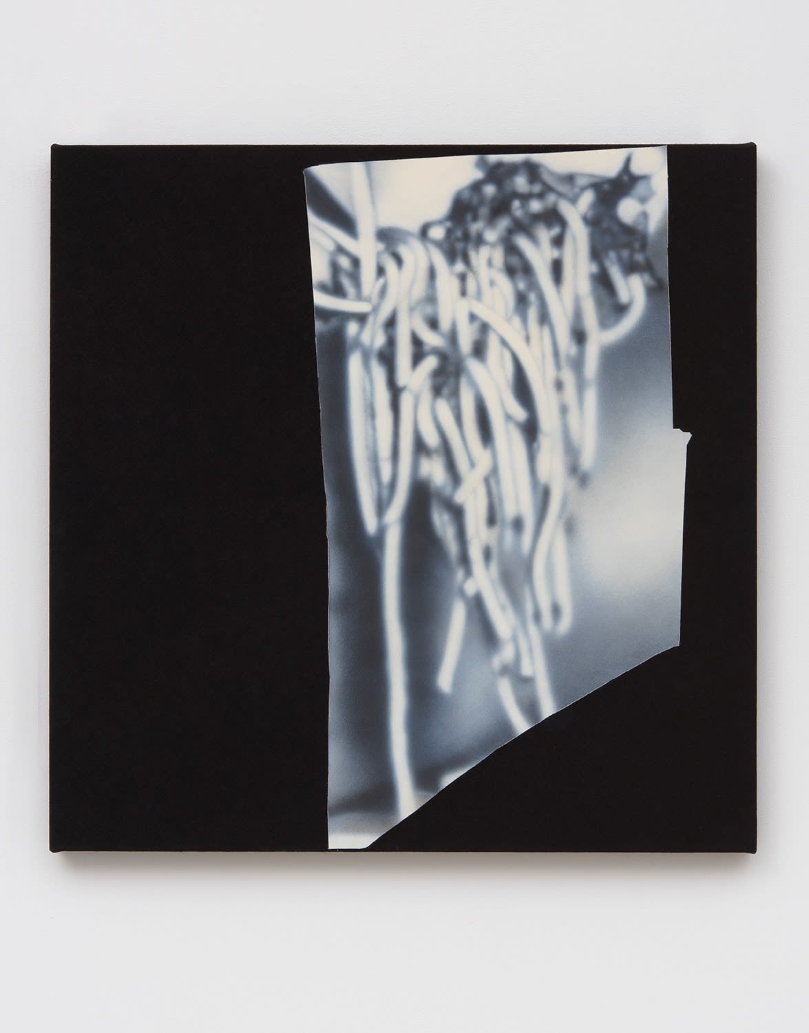 Kim Fisher, Magazine Painting (Spaghetti), 2015