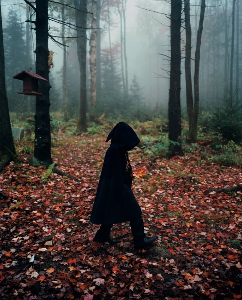 Robin Schwartz, Walter's Forest, 2007