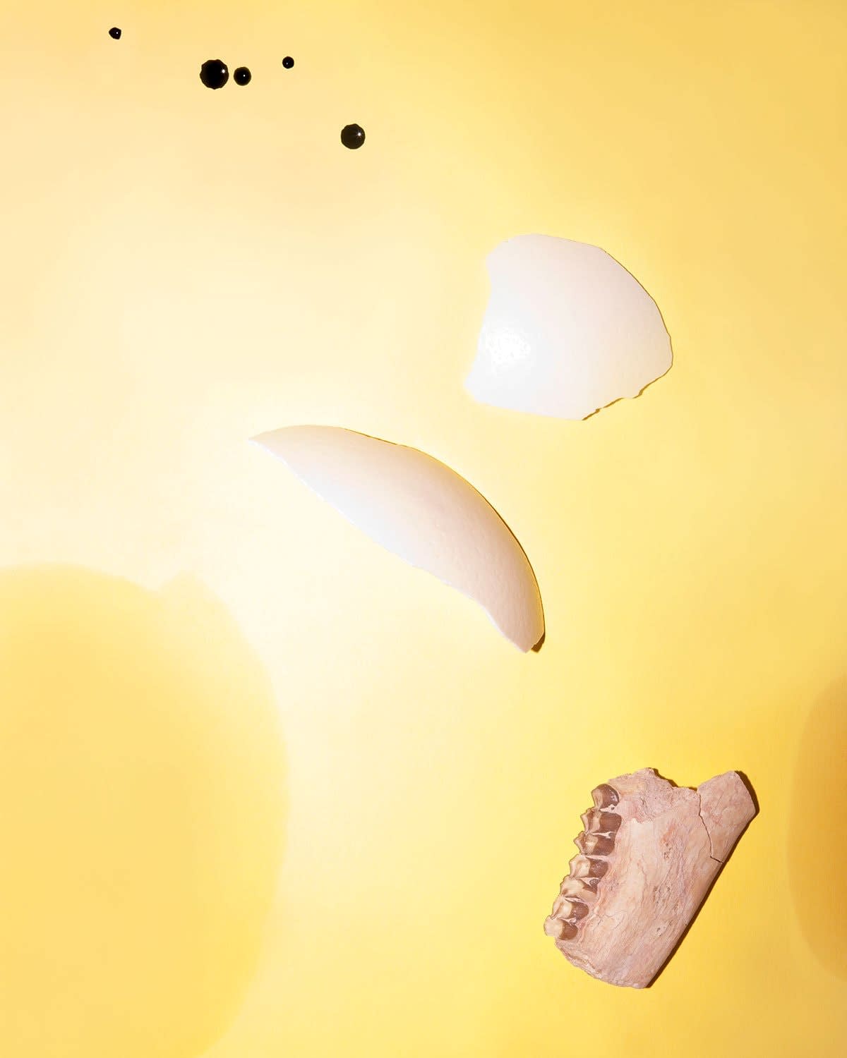 Brea Souders, Teeth and Shell, 2012