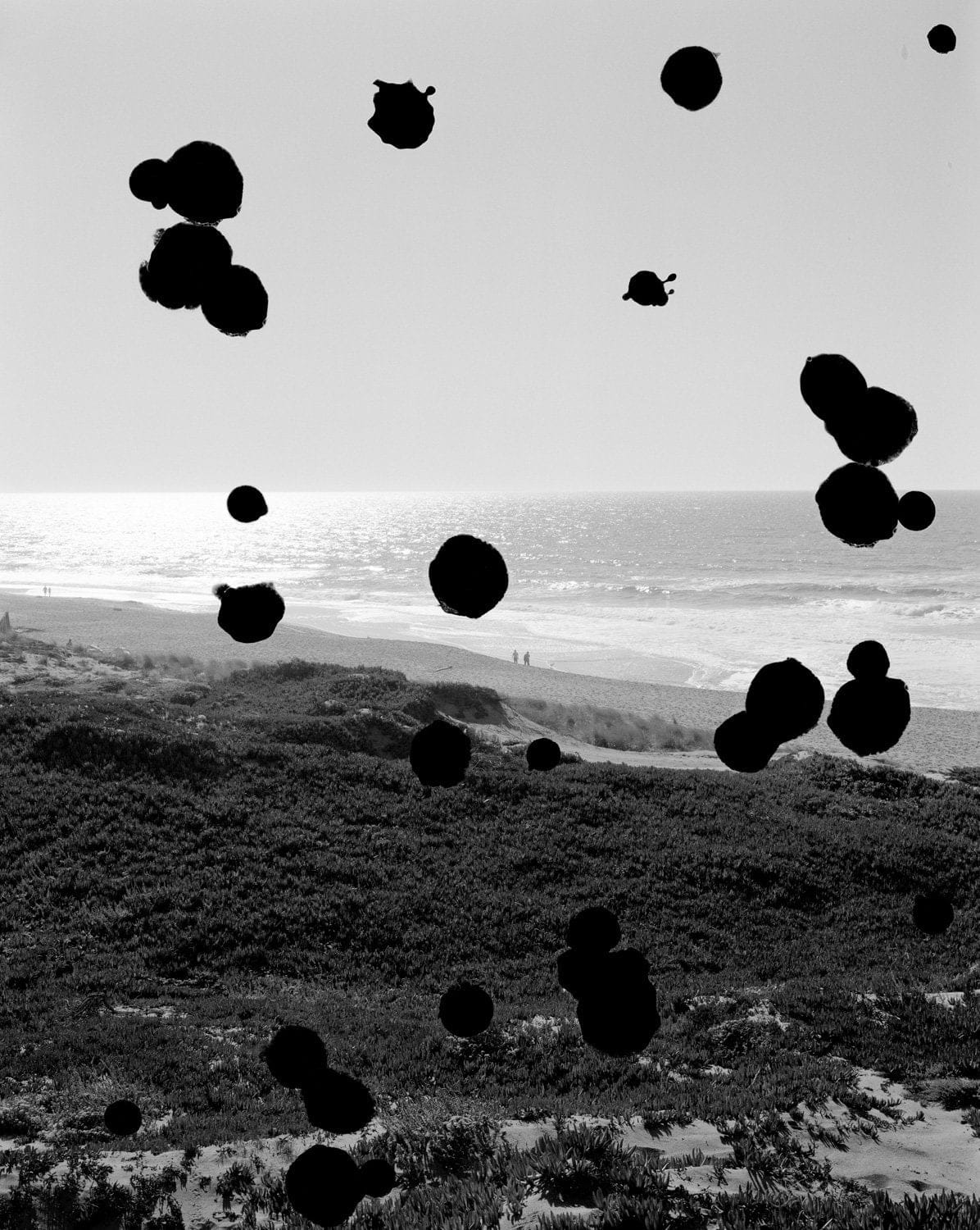 Arthur Ou, Test Screen 4 (Point Reyes), 2008